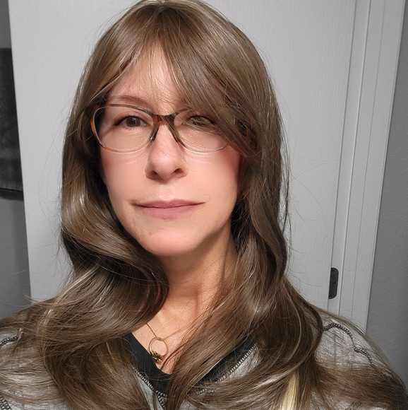 NWOT Coffee Brown Wig With Gray Highlights - Picture 1 of 10